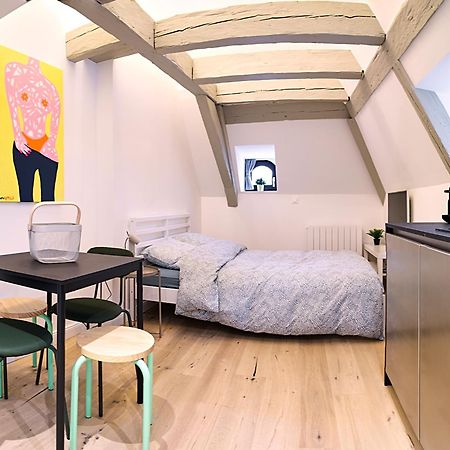 Le Salzmann Apartment Strasbourg Ngoại thất bức ảnh