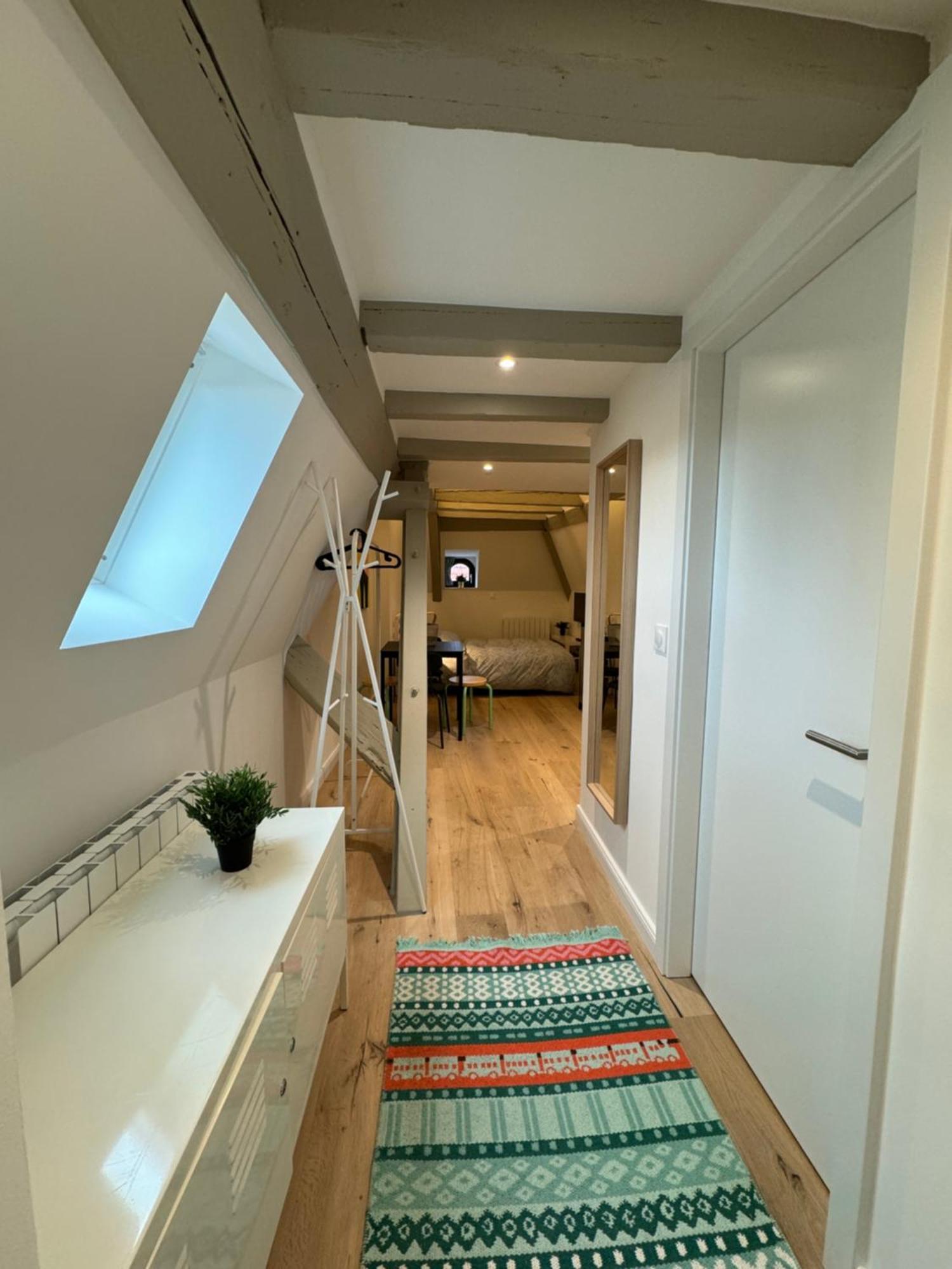 Le Salzmann Apartment Strasbourg Ngoại thất bức ảnh