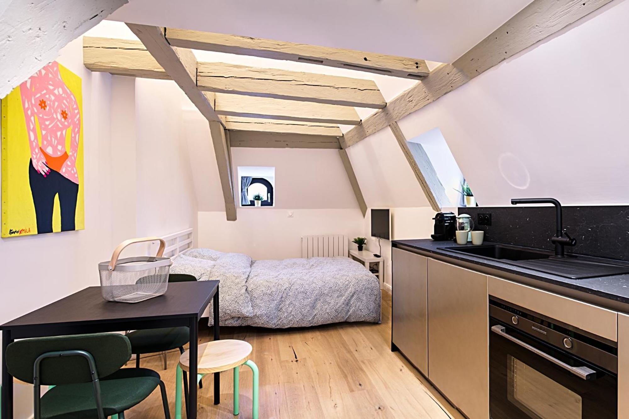 Le Salzmann Apartment Strasbourg Ngoại thất bức ảnh