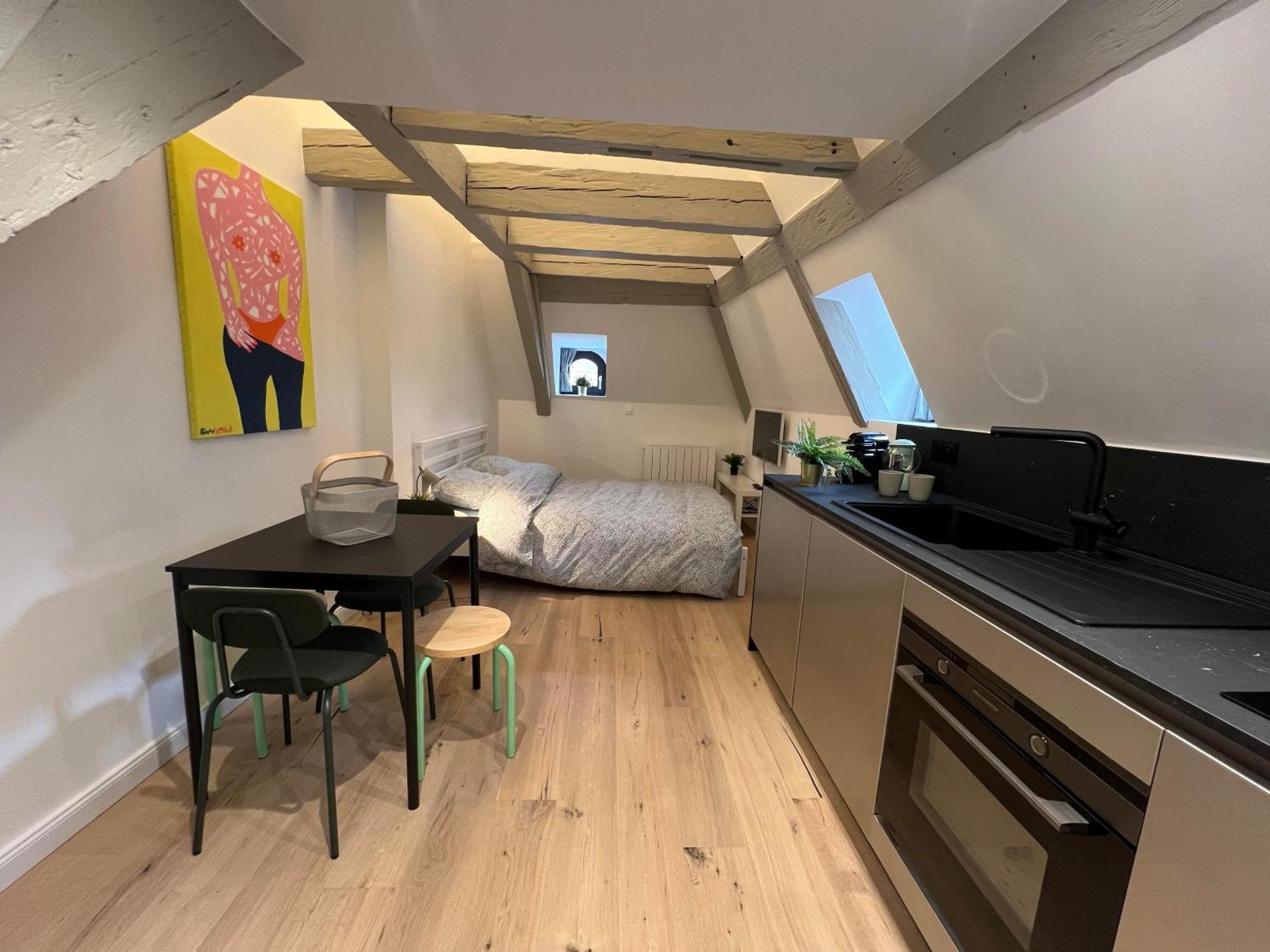 Le Salzmann Apartment Strasbourg Ngoại thất bức ảnh