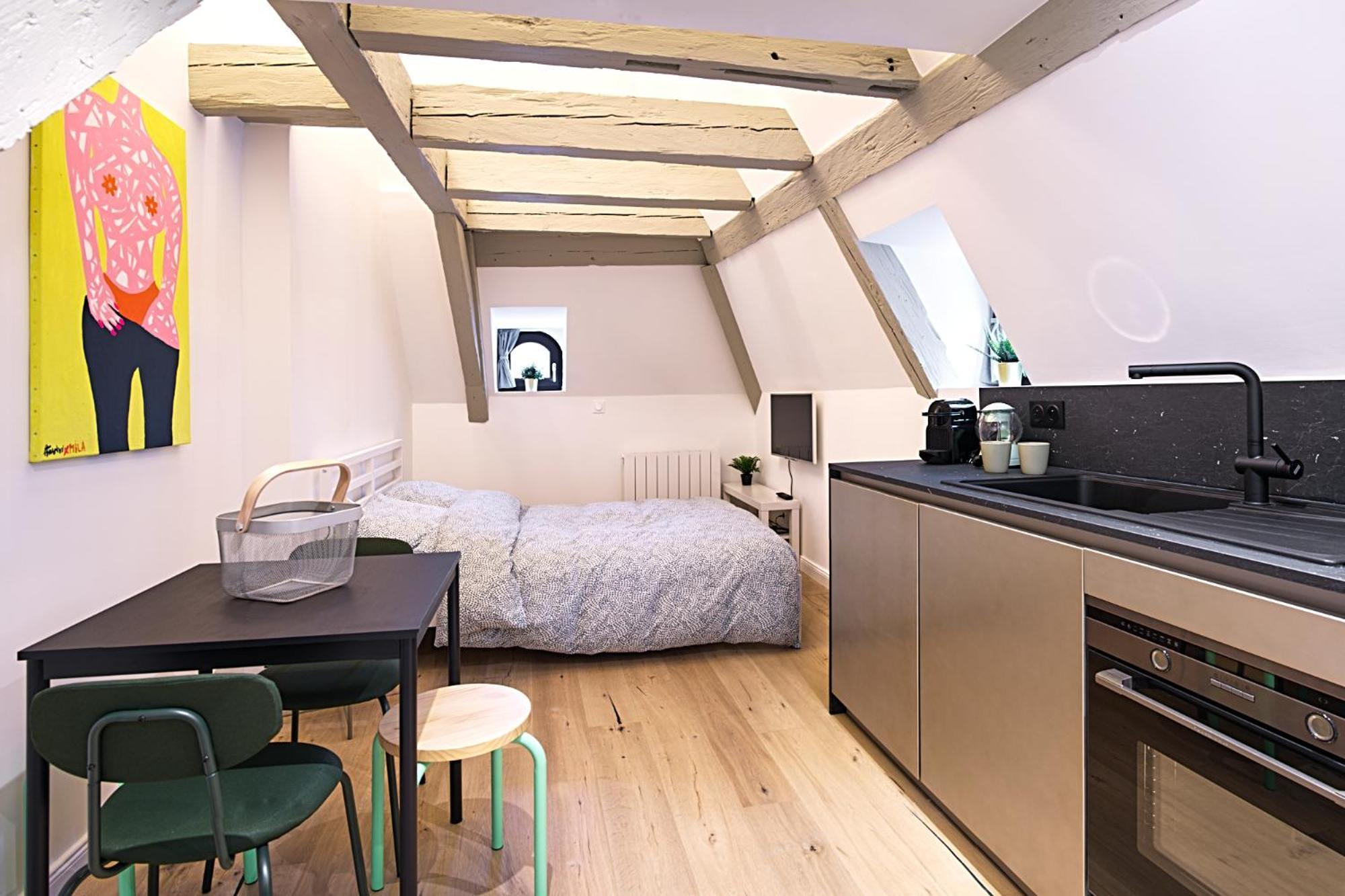 Le Salzmann Apartment Strasbourg Ngoại thất bức ảnh